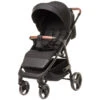 4Baby Stinger XXIII Black Wandelwagen 1 4Baby Stinger XXIII Black Wandelwagen -Kinderwagen Winkel 4baby stinger xxiii black wandelwagen 1