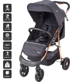 Babygo Style Black Rose 3-in-1 Kinderwagen Incl. Autostoel 6321 -Kinderwagen Winkel 6321 style3in1 blackrose 5 babygo