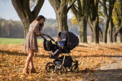 Baby Merc Mango Black/Gold LTD Kinderwagen Incl. Autostoel ML/204 -Kinderwagen Winkel baby merc mango limited edition black gold