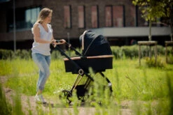 Ding Fenix Black/Rose Kinderwagen DI-191702 35 Ding Fenix Black/Rose Kinderwagen DI-191702 -Kinderwagen Winkel ding fenix rose kinderwagen