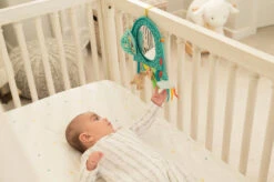 Infantino Elephant Autospiegel BK-316313 12 Infantino Elephant Autospiegel BK-316313 -Kinderwagen Winkel infantino elephant autospiegel bk 316313 2