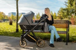 Kunert Ivento Premium Gold Deep Black 2-in-1 Kinderwagen IVE-12-GOLD 36 Kunert Ivento Premium Gold Deep Black 2-in-1 Kinderwagen IVE-12-GOLD -Kinderwagen Winkel kunert ivento premium gold caramel macchiato 2 in 1 kinderwagen ive 10 gold 7