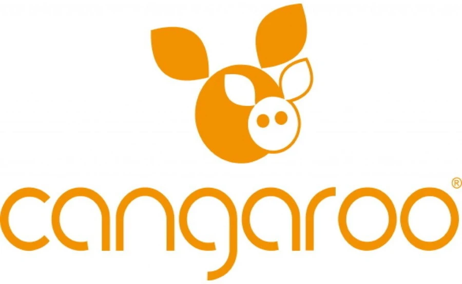 Cangaroo Explorer Grey Ergonomische Draagzak 7094 4 Cangaroo Explorer Grey Ergonomische Draagzak 7094 - Afbeelding 2