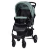 Lorelli Olivia Green Bay Wandelwagen 1002187-2390 2 Lorelli Olivia Green Bay Wandelwagen 1002187-2390 -Kinderwagen Winkel lorelli olivia green bay wandelwagen 1002187 2390
